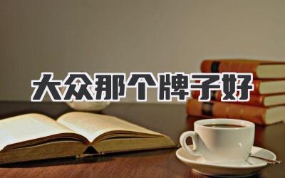 大众那个牌子好