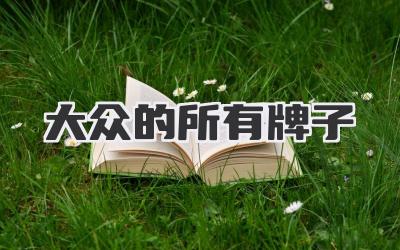 大众的所有牌子