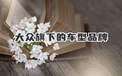 大众旗下的车型品牌