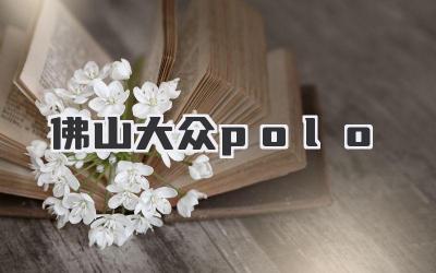 佛山大众polo