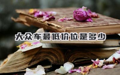 大众车最低价位是多少