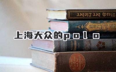 上海大众的polo