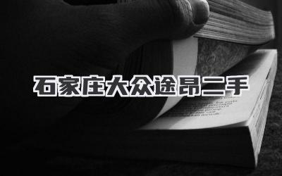 石家庄大众途昂二手