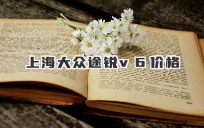 上海大众途锐v6价格