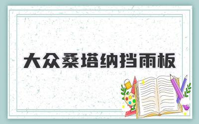 大众桑塔纳挡雨板