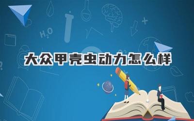 大众甲壳虫动力怎么样