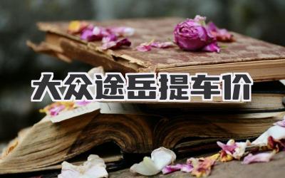大众途岳提车价