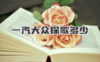 一汽大众探歌多少