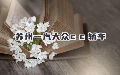 苏州一汽大众cc轿车