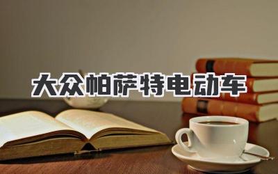 大众帕萨特电动车
