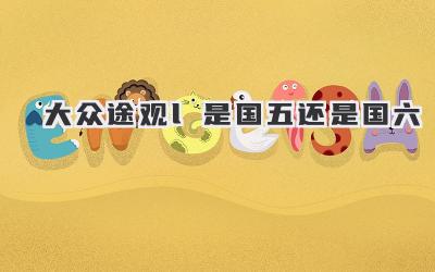 大众途观l是国五还是国六