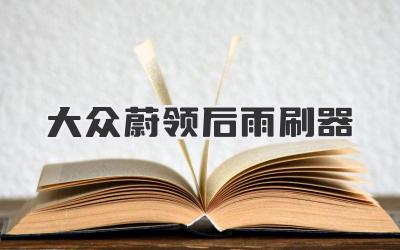 大众蔚领后雨刷器
