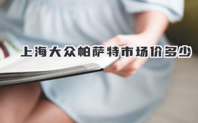 上海大众帕萨特市场价多少