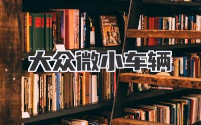 大众微小车辆
