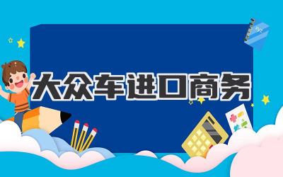 大众车进口商务