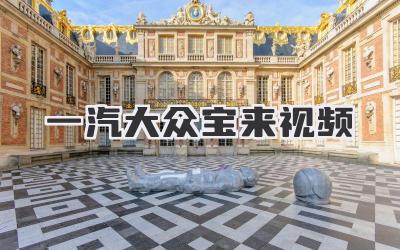 一汽大众宝来视频