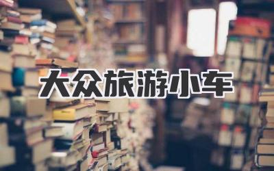 大众旅游小车