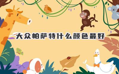 大众帕萨特什么颜色最好