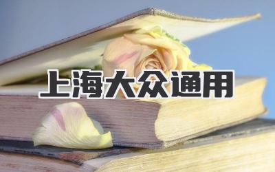 上海大众通用