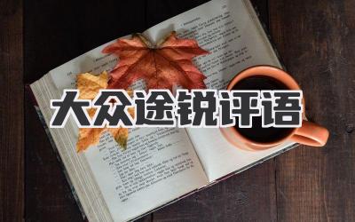 大众途锐评语