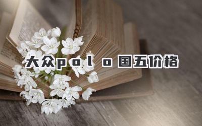 大众polo国五价格