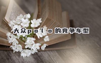 大众polo的竞争车型