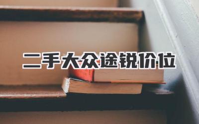 二手大众途锐价位