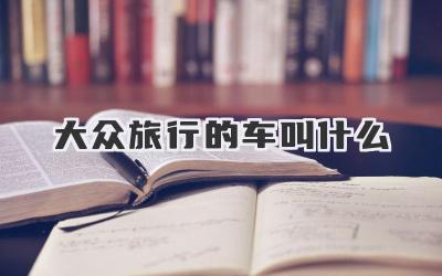 大众旅行的车叫什么