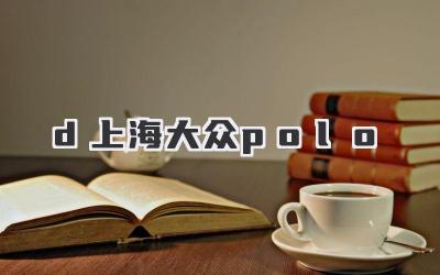 d上海大众polo-买车记