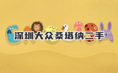 深圳大众桑塔纳二手-买车记