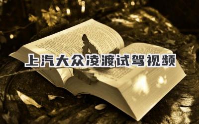 上汽大众凌渡试驾视频-买车记