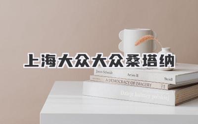 上海大众大众桑塔纳