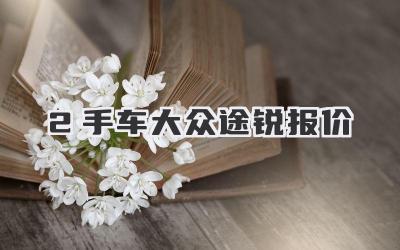 2手车大众途锐报价