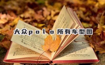 大众polo所有车型图