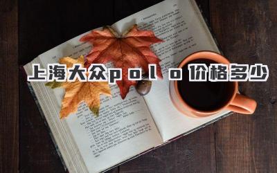 上海大众polo价格多少
